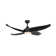 Coronado 55.62'' Ceiling Fan with LED Lights