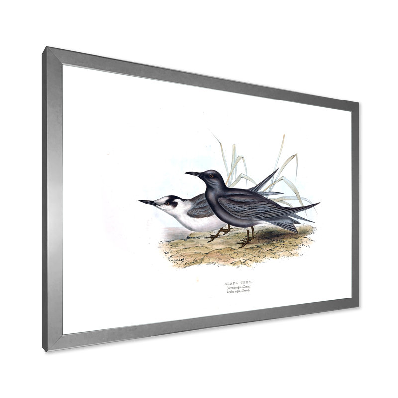 Oiseau rétro de l'Europe II - peinture sur toile, H 24 po x l 32 po x P 1 po, Cadre photo argenté