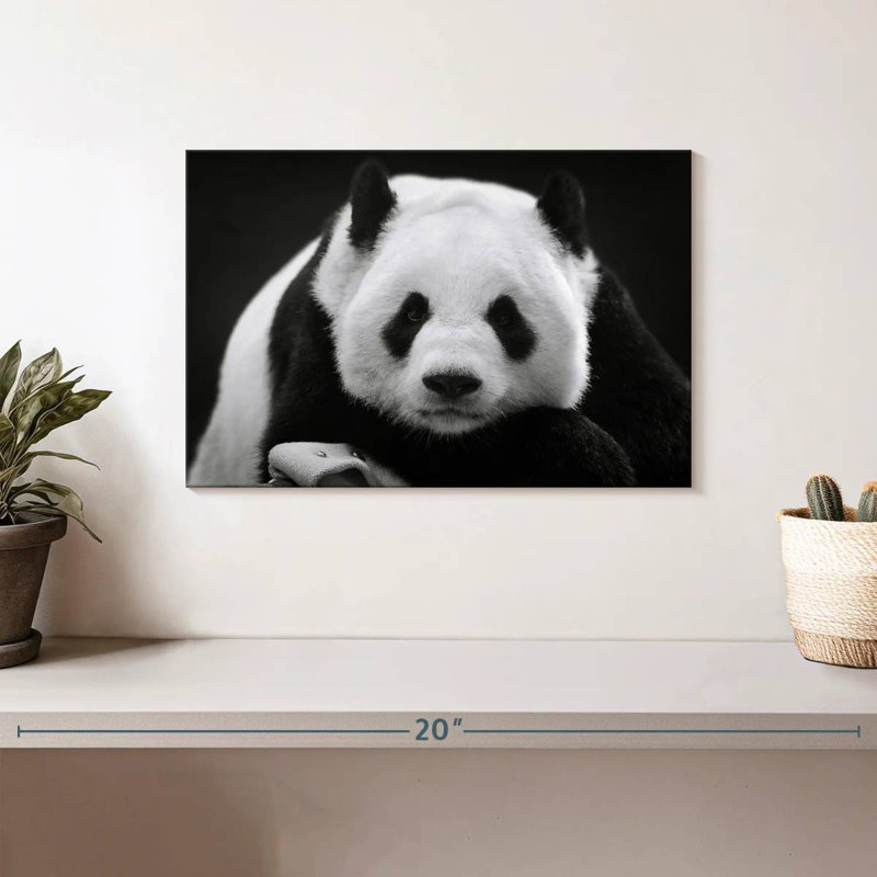 Panda sérieux Brampt, H 8 po x l 12 po