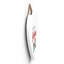 Christmas Decorative Accent-1900594563