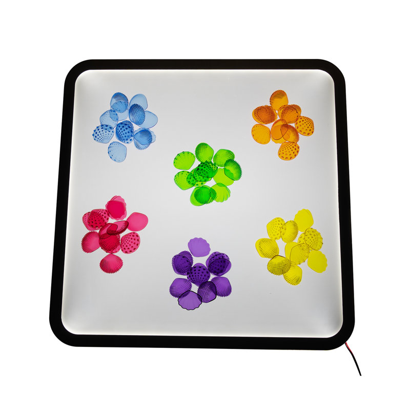 Coquilles tactiles Edxeducation - transparent - mini pot - ensemble de 72