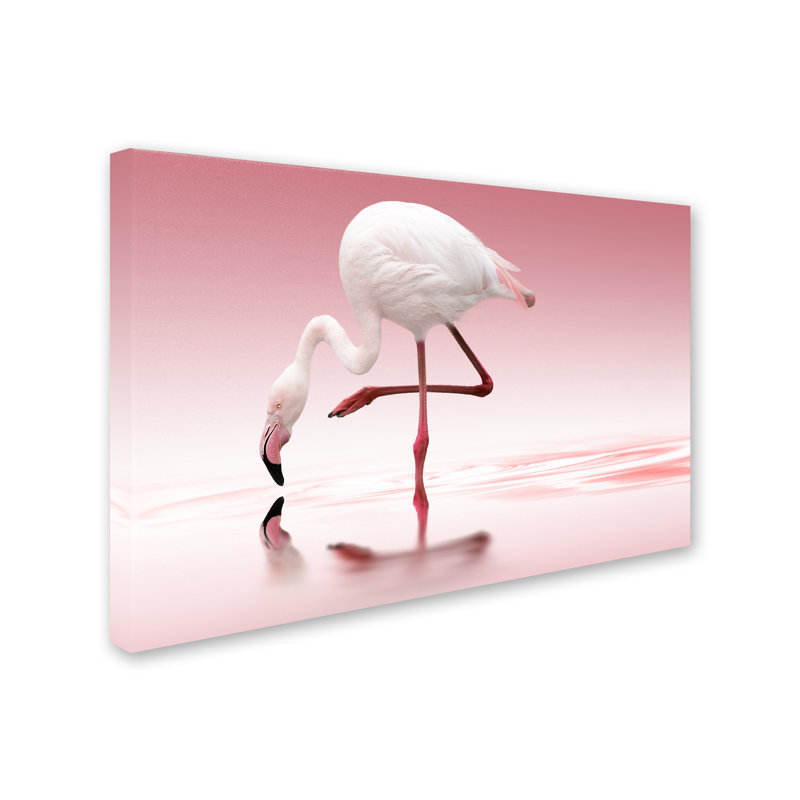« flamant rose », reproduction d’impression sur toile tendue, H 22 po x l 32 po