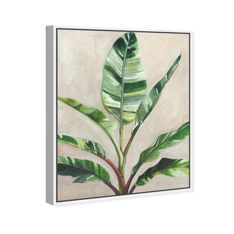 Jolies plantes II - Impression sur toile, Toile avec cadre flottant blanc, H 25 po x l 21 po x P 1,8 po