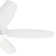 Nyxton 52'' Ceiling Fan with LED Lights