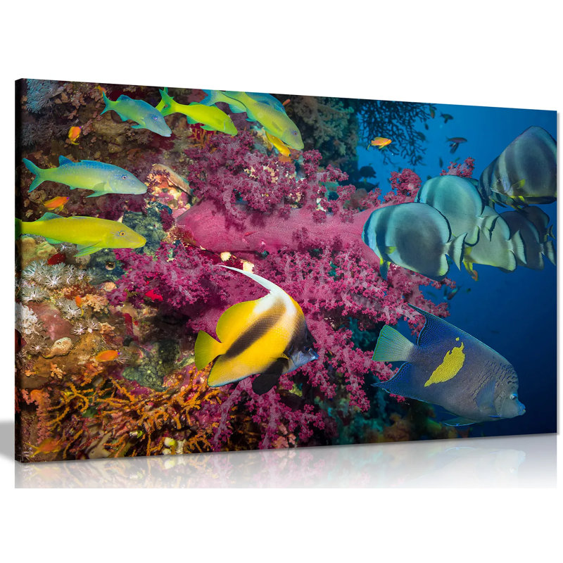 Wrapped Canvas Print, 20cm H x 31cm W
