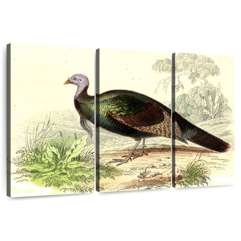 Brampt Wild Turkey, 24" H x 38" W