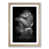 Oak Framed selected