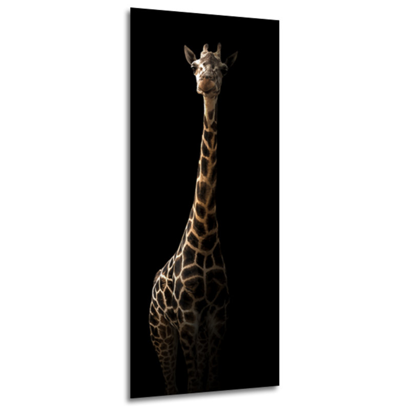 Glasspik Animals - Rectangle Print on Glass