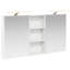 W H Wall Mounted Required Medicine Cabinet Mirror 6-1915091578-1915091576