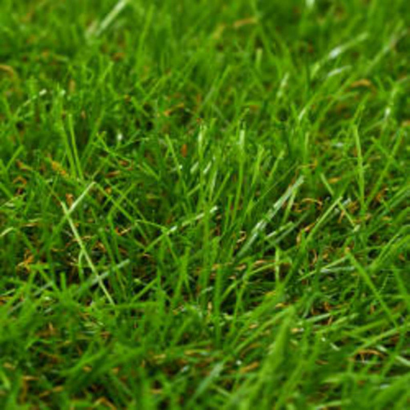 Gazon synthétique synthétique synthétique, Vert, L 590,4 po x P 39,6 po