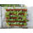 Handmade Vertical Garden
