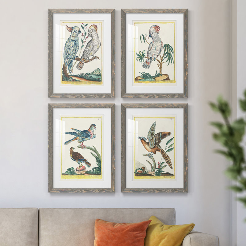 «Pastel Birds I», ensemble de 4 reproductions de cadres photo, H 20 po x l 68 po x P 1,5 po, gris