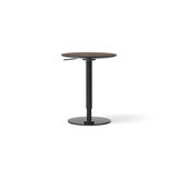 Branch Solid Wood End Table