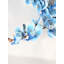 Orchidée phalaenopsis-18649247