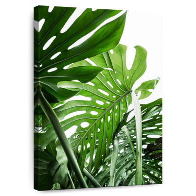 Harnek Leafy Jungle