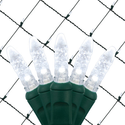 LED Net Lights