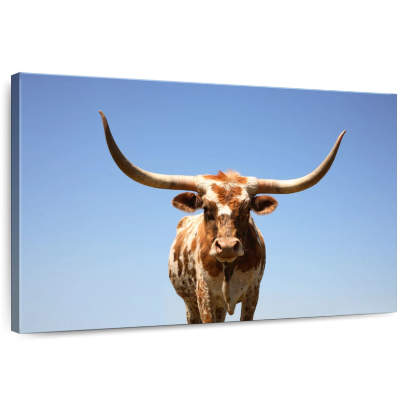 Longhorn Cattle Portrait, 8" H x 12" W