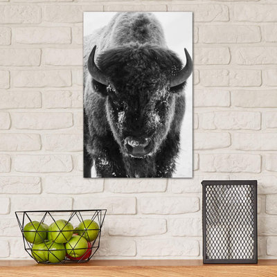 Bison Bull Frosty Morning 1 Piece Wrapped Canvas Wall Art