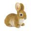 VIVID BUNNY