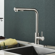 Brushed Nickel AlenArtWater Kitchen Faucets You'll Love