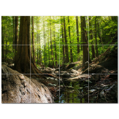 Murale décorative en céramique 4,25 po x 4,25 po Trees Photo