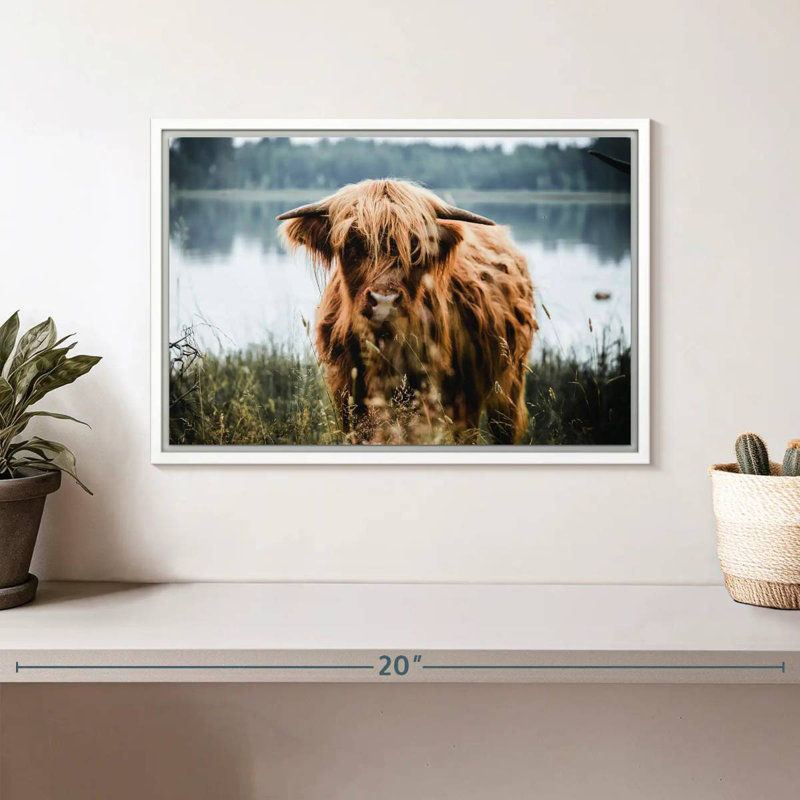 Vache Lakeside Highland, Cadre flottant blanc, 13 po x 9 po