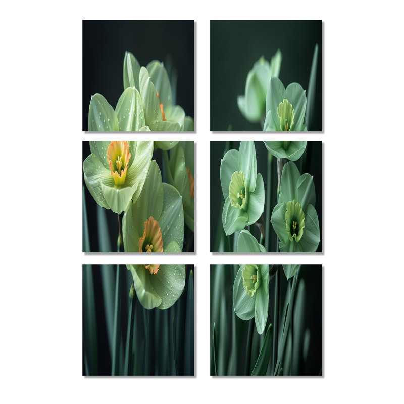 Monochromes jardin glamour jonquilles - ensemble de 6 impressions de jonquilles sur toile, Toile tendue, Ne s’applique pas