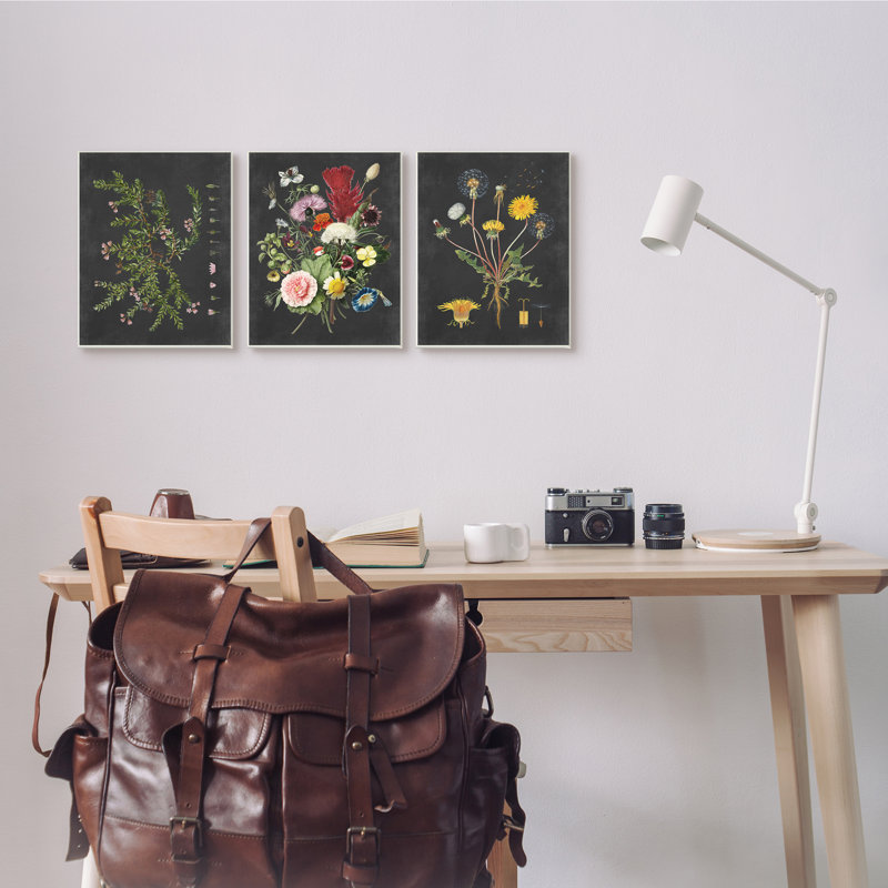 «Botanical Chalkboard Flowers Illustration», ensemble de 3 impressions, Plaque murale, H 15 po x l 10 po