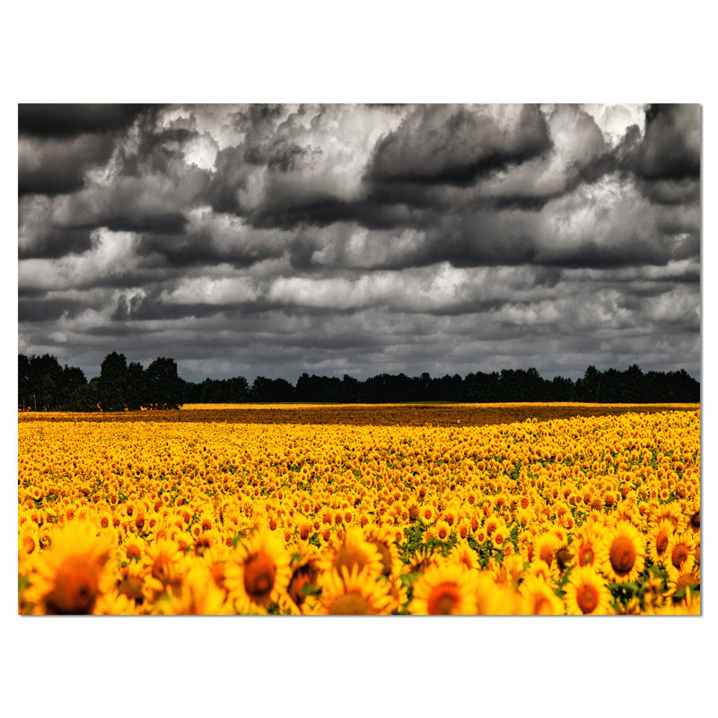 « van gogh avec clouds », reproduction de photo sur toile tendue, H 20 po x l 20 po x P 1 po