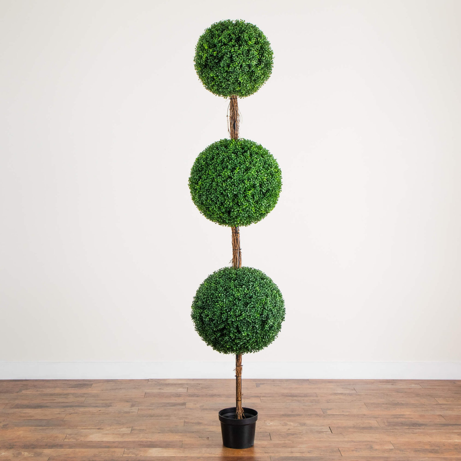 96" Boxwood Topiary in Nursery Pot, Green, 96" H x 20" W x 20" D