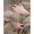Your Lifestyle by Donna Sharp Taupe Plush Knit Woven Throw-271529858