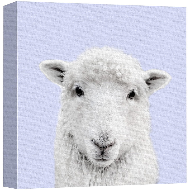 Baby Animals " Lamb Portrait Animals Wildlife ", 24" H x 24" W x 1.5" D
