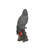 Gabon Parrot on Stump