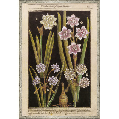 Botanicals fond noir - reproduction de cadre photo