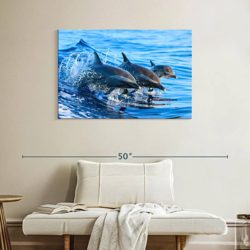 Crowle Surfing Dolphins