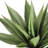 Coleman 20'' Faux Agave Plant in Pot