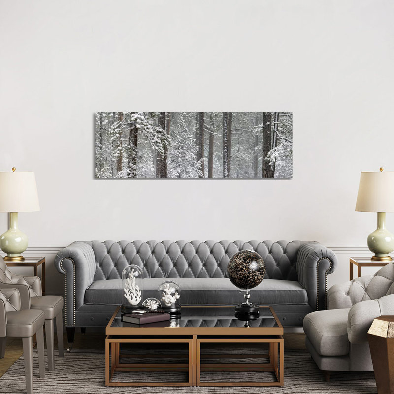 Snow Covered Ponderosa Pine Trees in a Forest, Indian Ford, Oregon, USA 1 Piece Wrapped Canvas Panoramic Wall Art