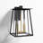 Ceola Izzie 2 - Bulb Integrated LED Outdoor Wall Lantern-654940483-654940485