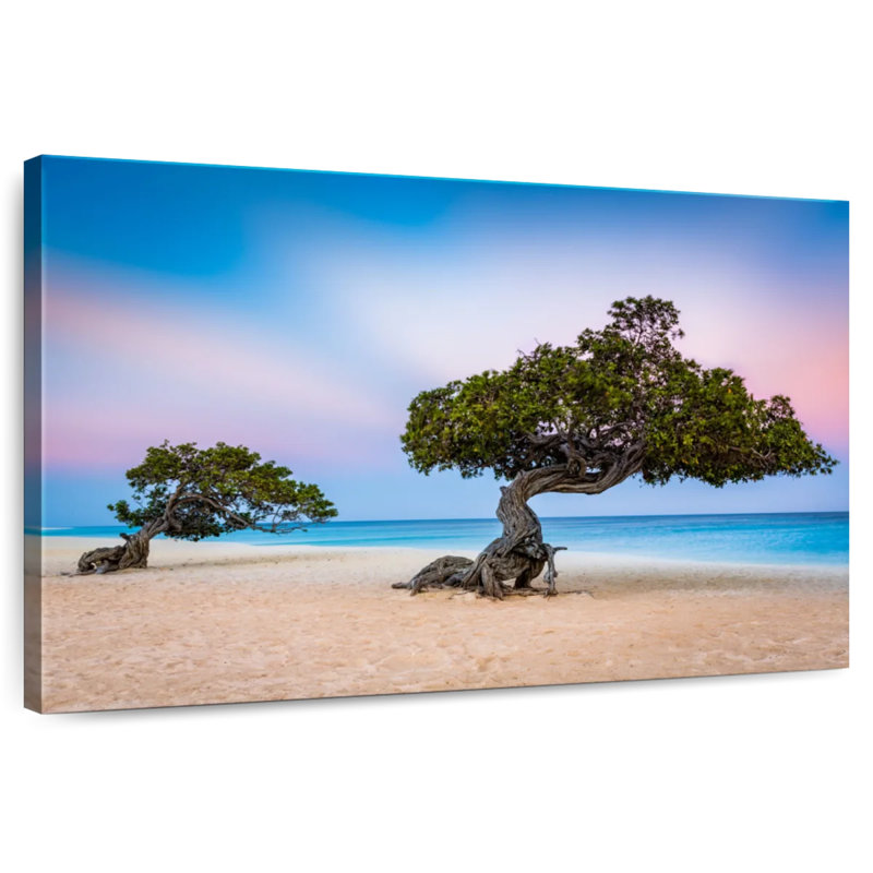Harnek Divi Divi Trees, 8" H x 12" W
