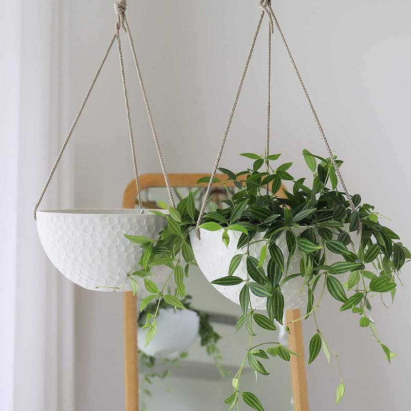 Bee Honeycomb Plastic Hanging Planter, White, 4.7'' H x 10'' W x 10'' D