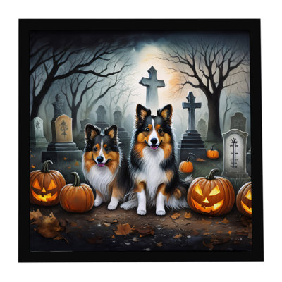 Sheltie Spooky Halloween, impression sur métal encadrée