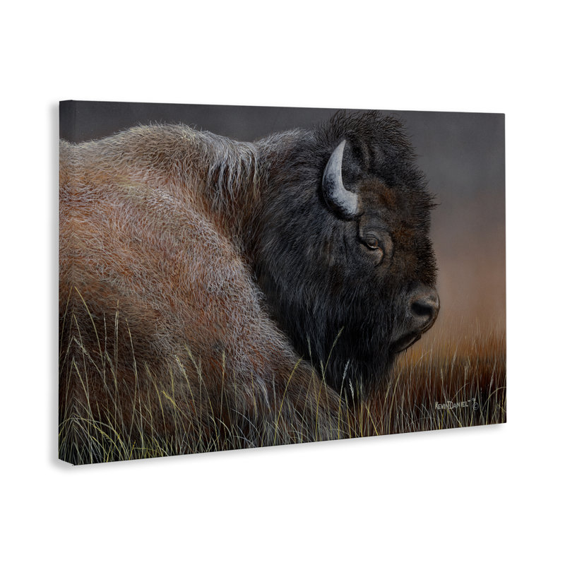 Détail d'une toile détaillée de bison par Kevin Daniel, H 20 po x l 30 po