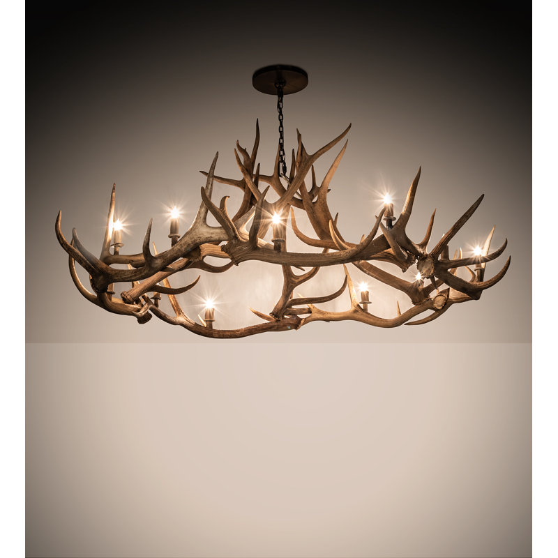 12 - Light Chandelier