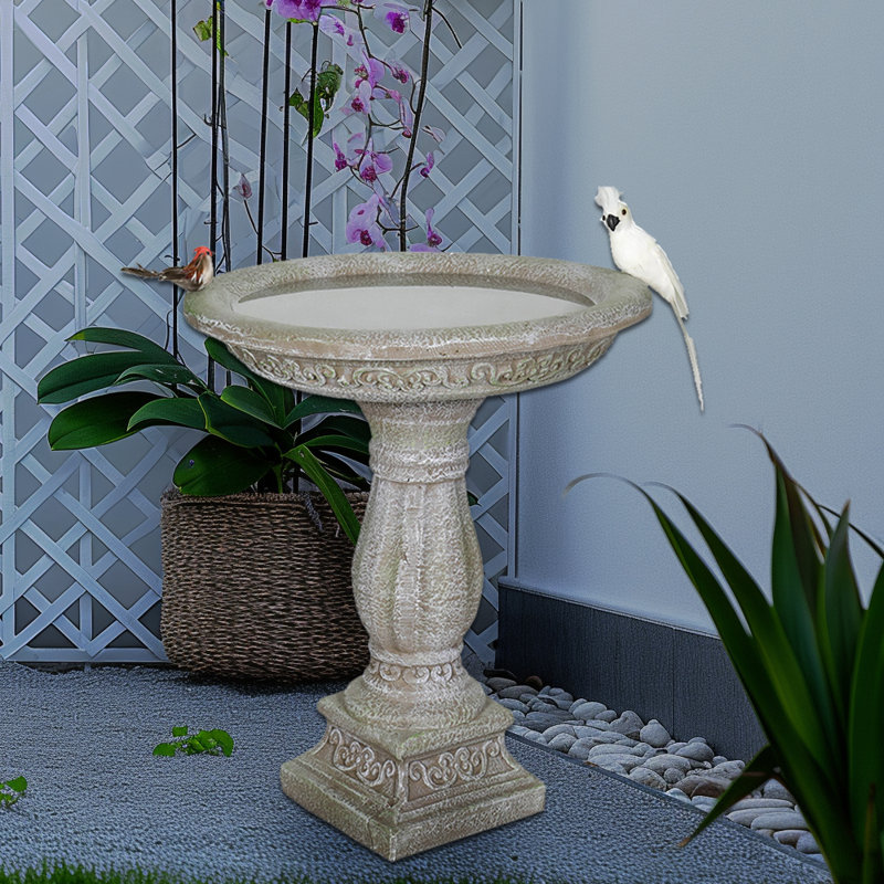 Bain d'oiseaux en béton / ciment Gerharda