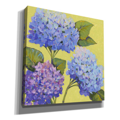 «Spring Hydrangeas II» par Tim O'toole, art mural sur toile