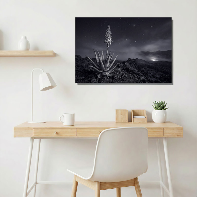 Art mural sur toile noir et blanc Aloe Succulent on Rocky Terrain Under Stars, H 32 po x l 48 po