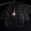 Canopy 1 - Light Pendant