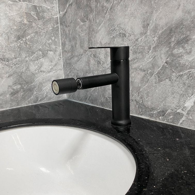 Single Handle Stainless Steel Bathroom Sink Faucet with Pull-Out Sprayer