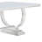 Rectangular Glass Top Dining Table-1755012317