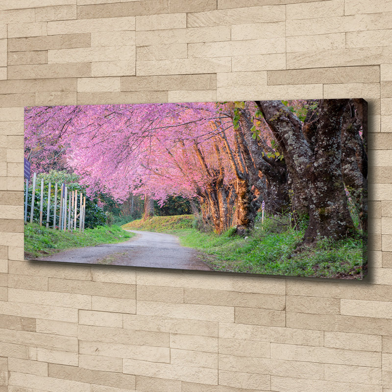 Cherry Blossoms - Wrapped Canvas Print